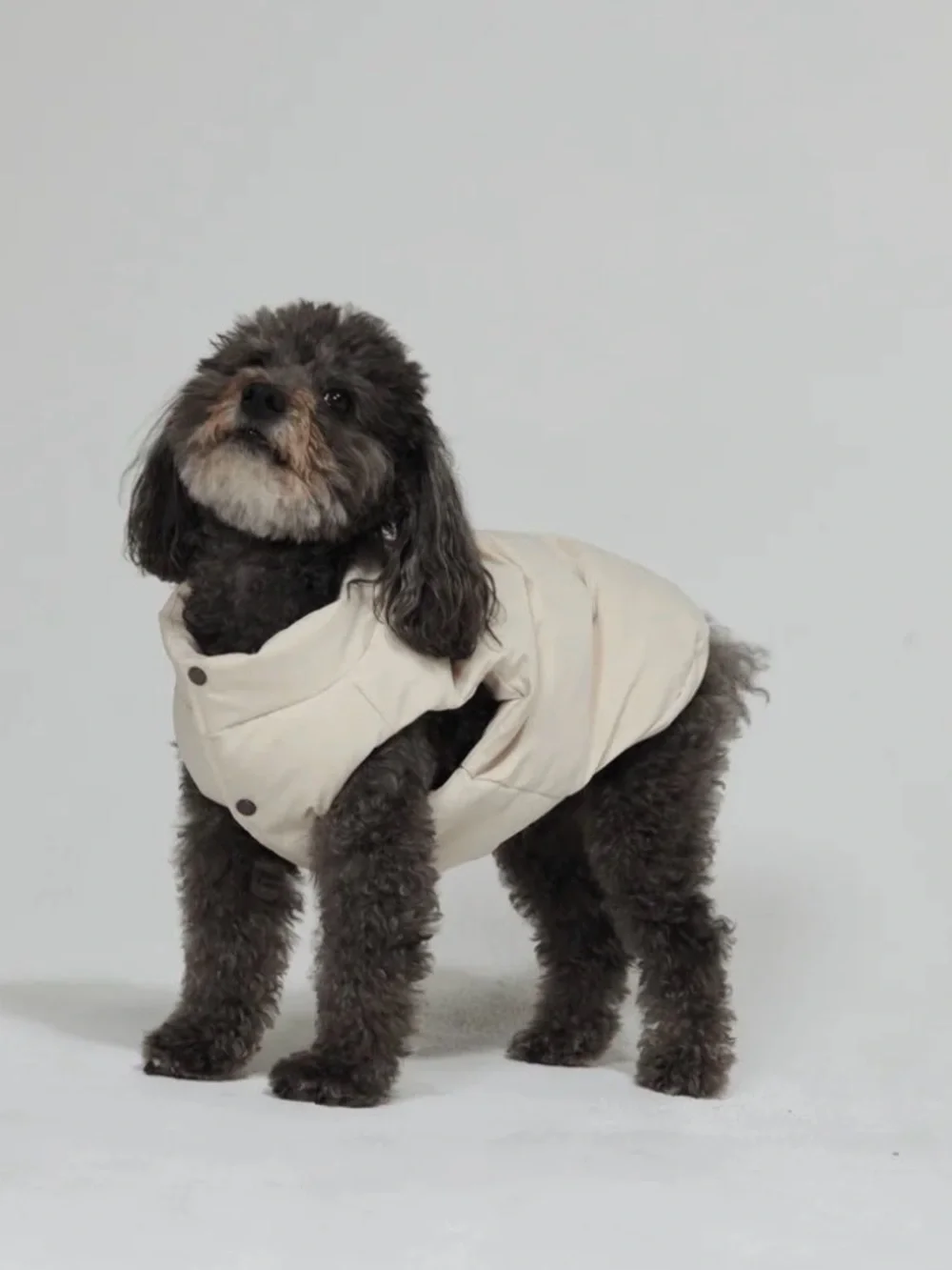 Maxbone Subzero Puffer Jacket for Dogs